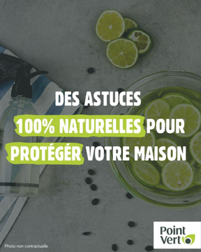 Astuces naturelles au citron pour protéger la maison
